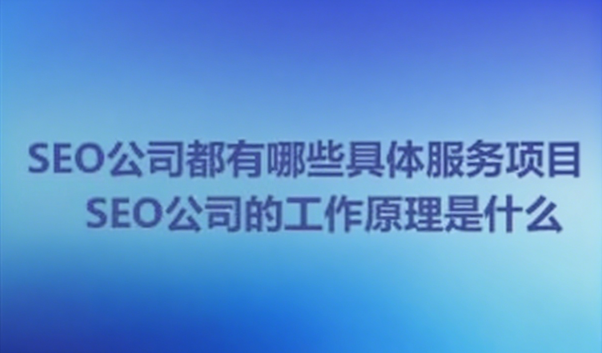 SEO公司都有哪些具体服务项目_SEO公司的工作原理是什么